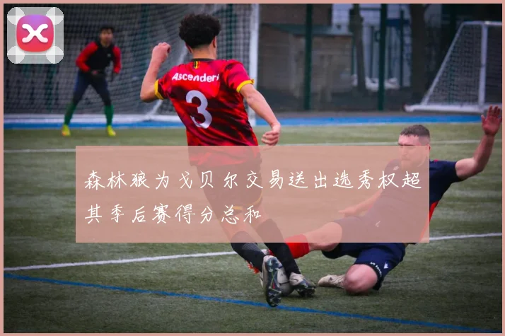 森林狼为戈贝尔交易送出选秀权超其季后赛得分总和