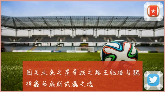 国足未来之星寻找之路王钰栋与魏祥鑫或成新武磊之选